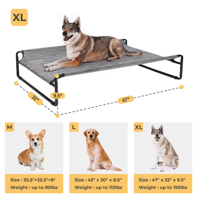 Tucker Murphy Pet™ Original Cooling Elevated Dog Bed, Outdoor Raised